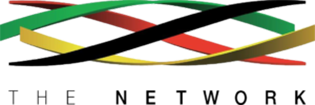 Crossing ribbon‑like shapes in yellow, black, green and red, arranged diagonally with wording 'The Network' beneath.
